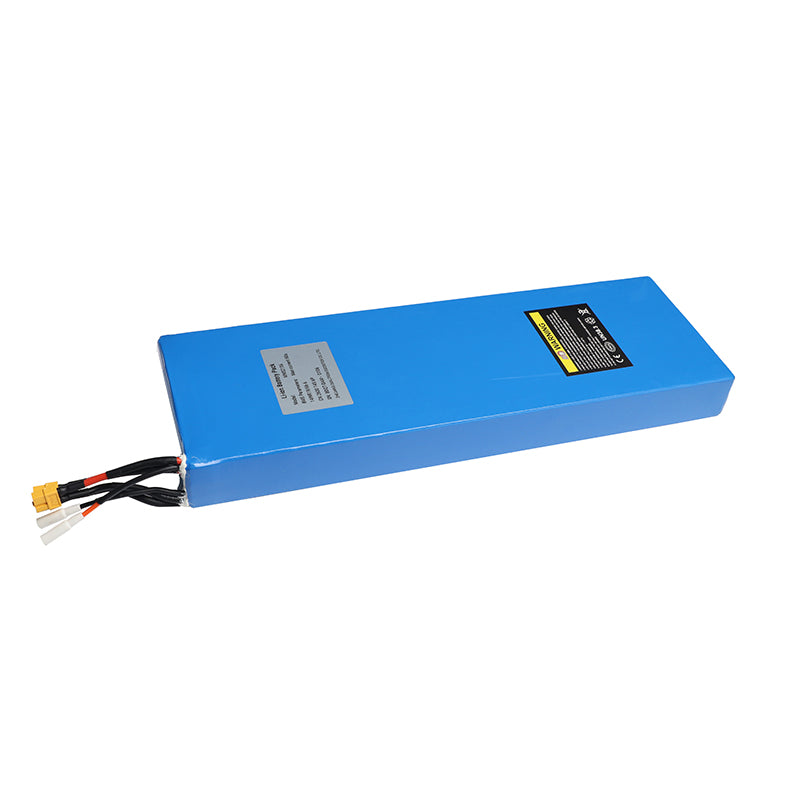 Dual Motor Battery