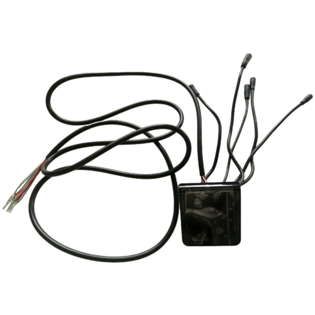 EY2 Display With Cruise Control - Dualtron Togo LTD