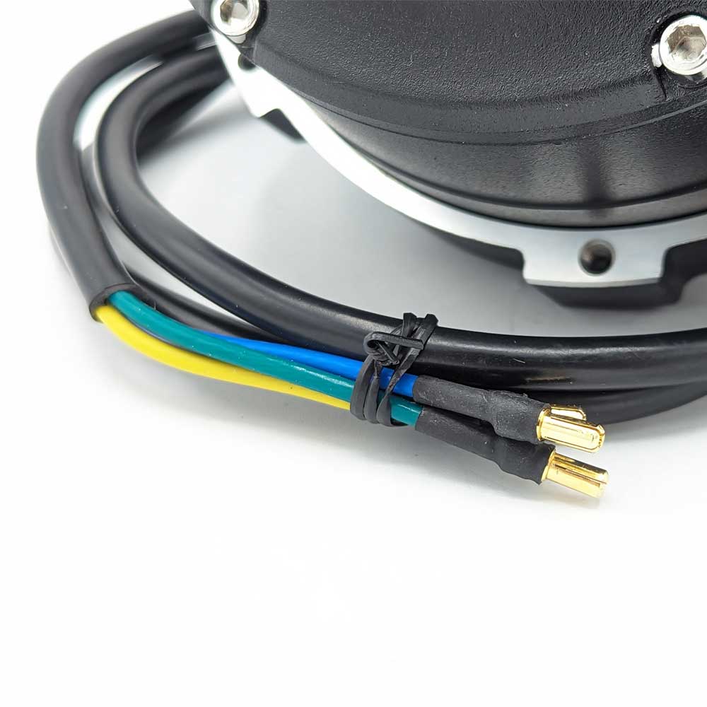 Motor for Dualtron City, Rear, 60V