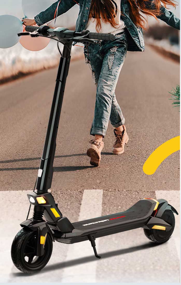 Dualtron Dauphin 36V 7,8Ah