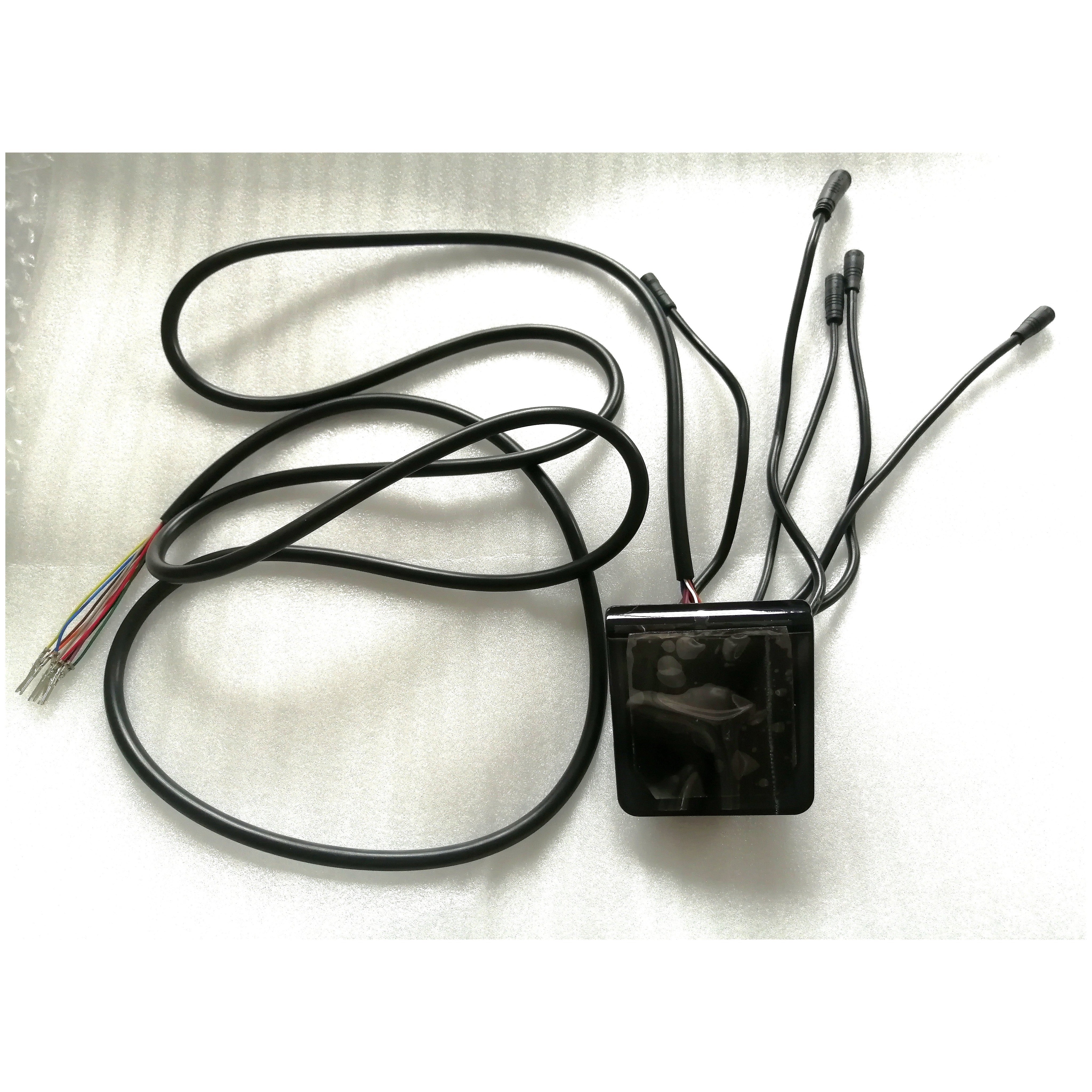 Display Without Cruise Control - Dualtron Togo LTD