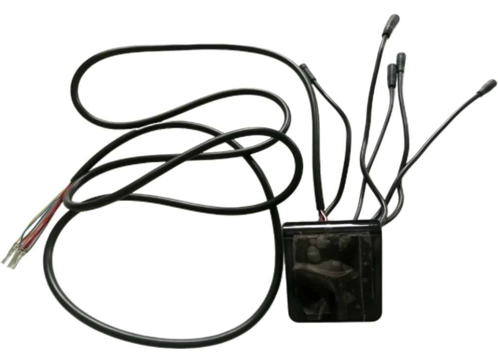 EY2 Display With Cruise Control - Dualtron Togo LTD