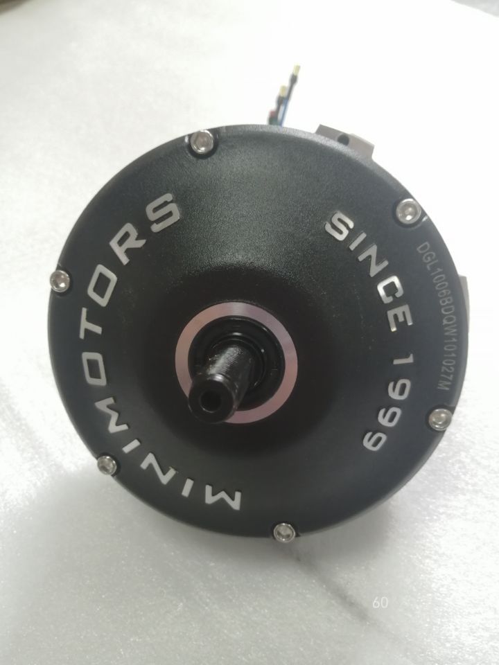 Rear Motor - Dualtron Togo LTD