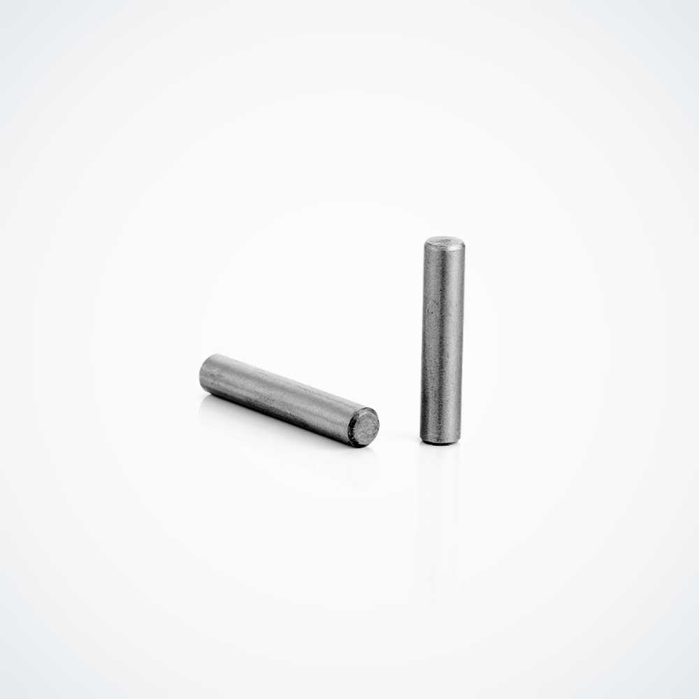 Lower Hinge Pin 10 X 3 MM - Dualtron