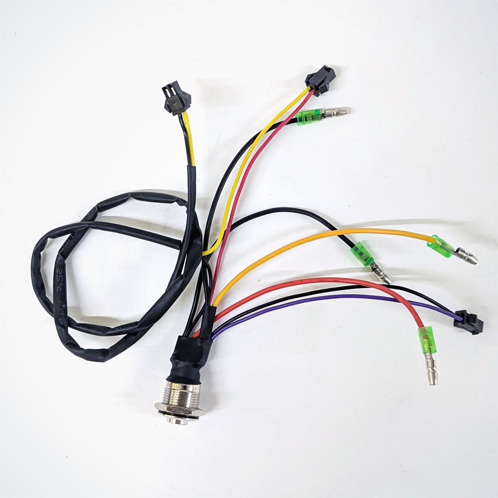 1 Button DC-DC Converter Switch - Dualtron X | 03.207.00014