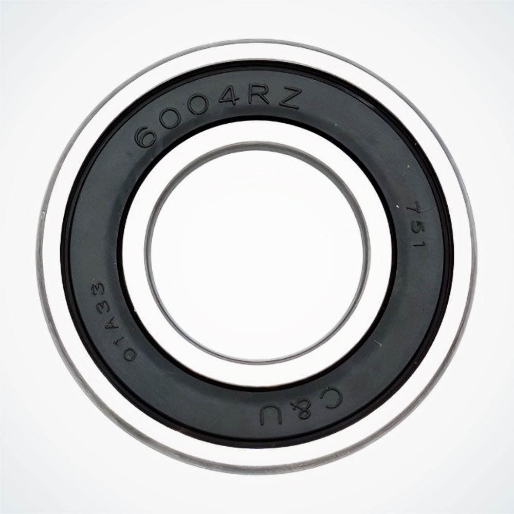 6004RZ Bearing