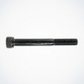 M12x100 Socket Head Screw - Dualtron | 03.007.00454