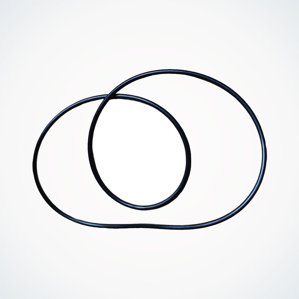 Motor Sealing Ring - Dualtron | 03.017.00158