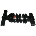 P1130 square image