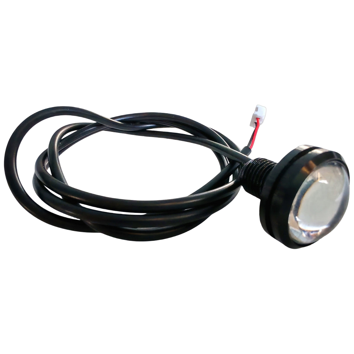 P1135 square image