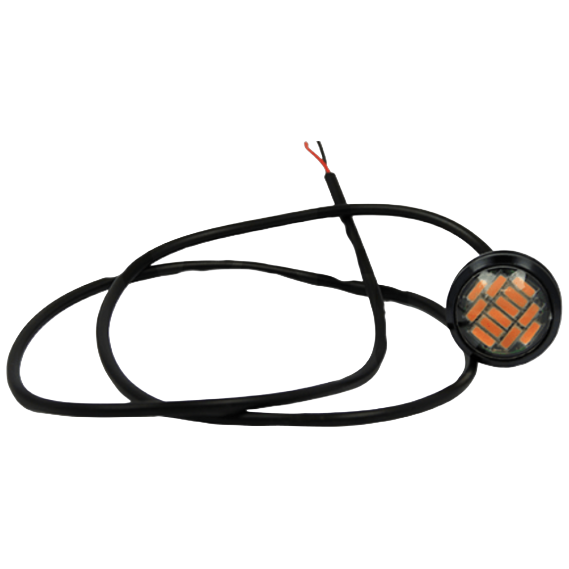 P1137 square image