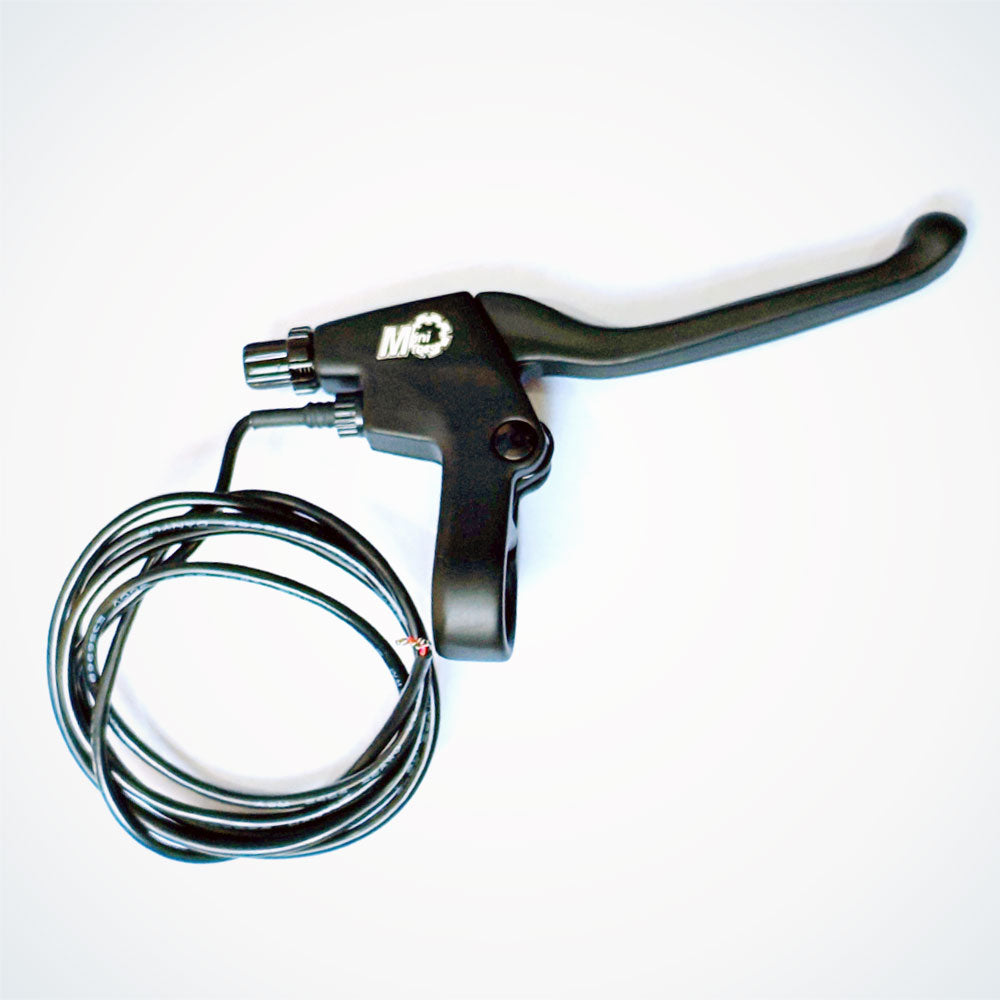 Right Brake Assembly