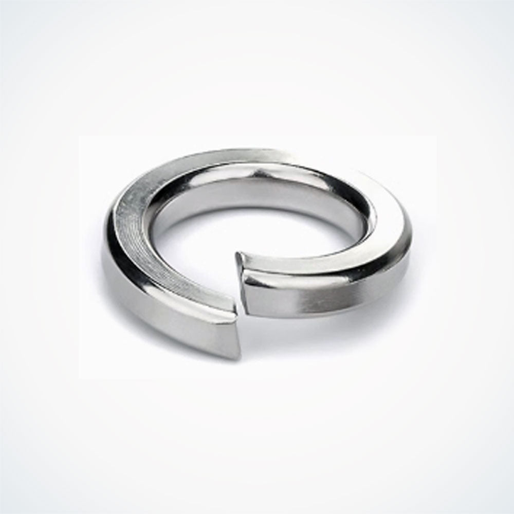 dualtron spring washer